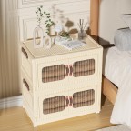 Retro double door storage box