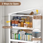 Removable transparent double door storage box