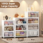 Removable transparent double door storage box
