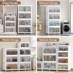 Removable double door transparent storage box